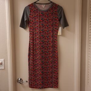LuLaRoe Julia Knit Dress